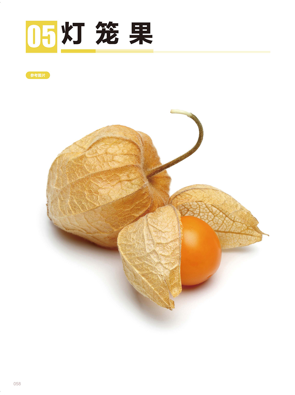 (Pre-order) หนังสือเทคนิคระบายสีไม้