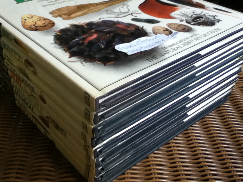 EYEWITNESS GUIDES 9 เล่ม