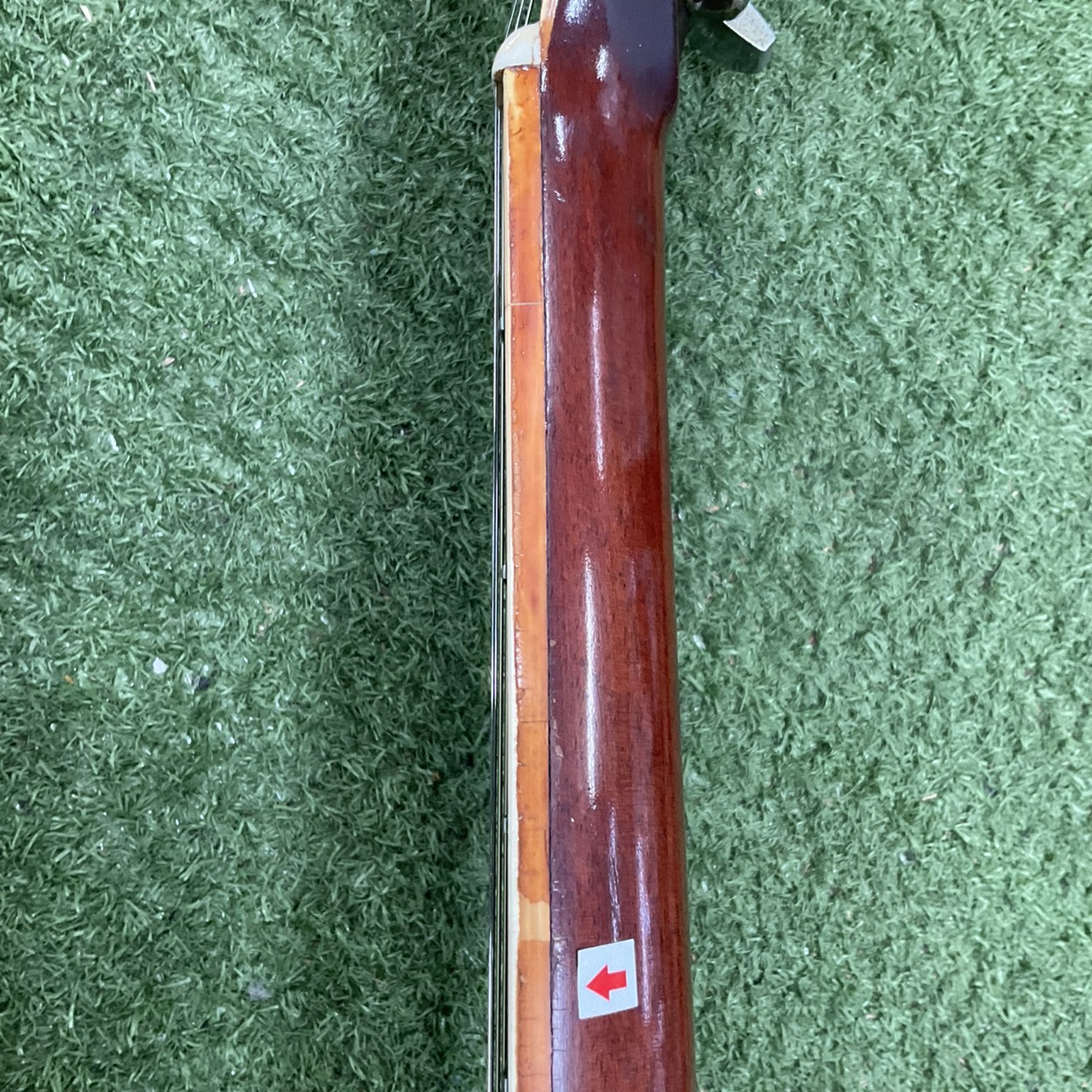 กีต้าร์โปร่ง Morris : W-25