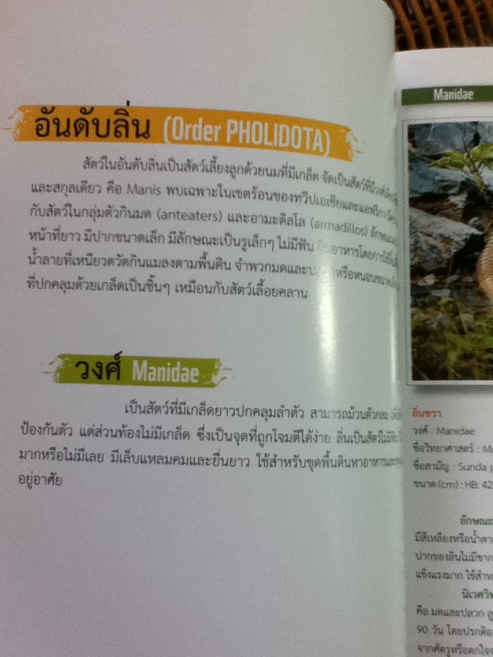 คู่มือสัตว์เลี้ยงลูกด้วยนม ในผืนป่าตะวันตกตอนบน/ ดร.รุ้งนภา พูลจำปา และคณะ