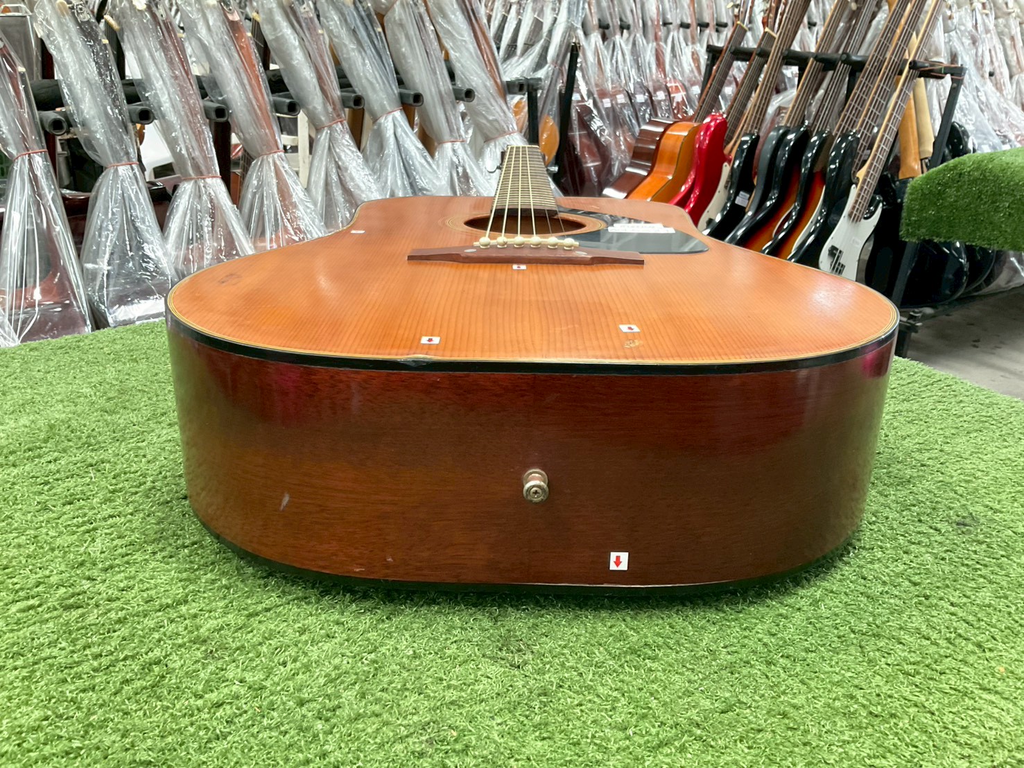 กีต้าร์โปร่ง Ariana : A790