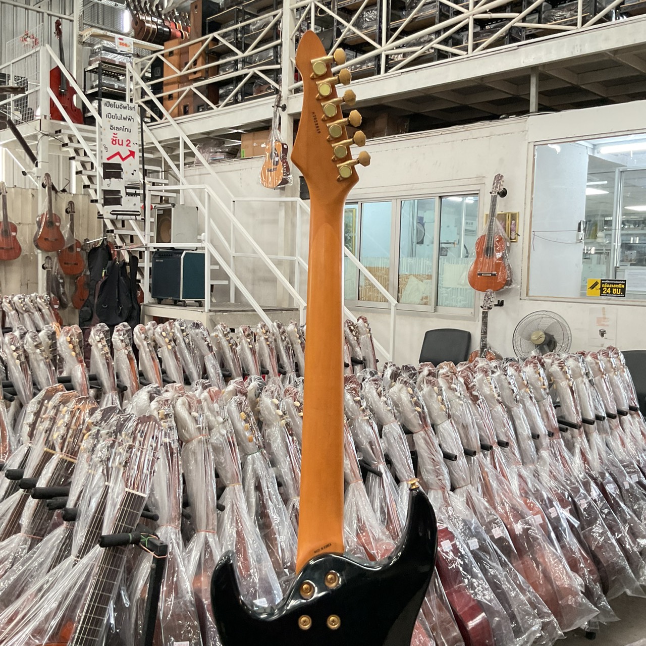 กีต้าร์ไฟฟ้า Aria Pro II : MAGNA