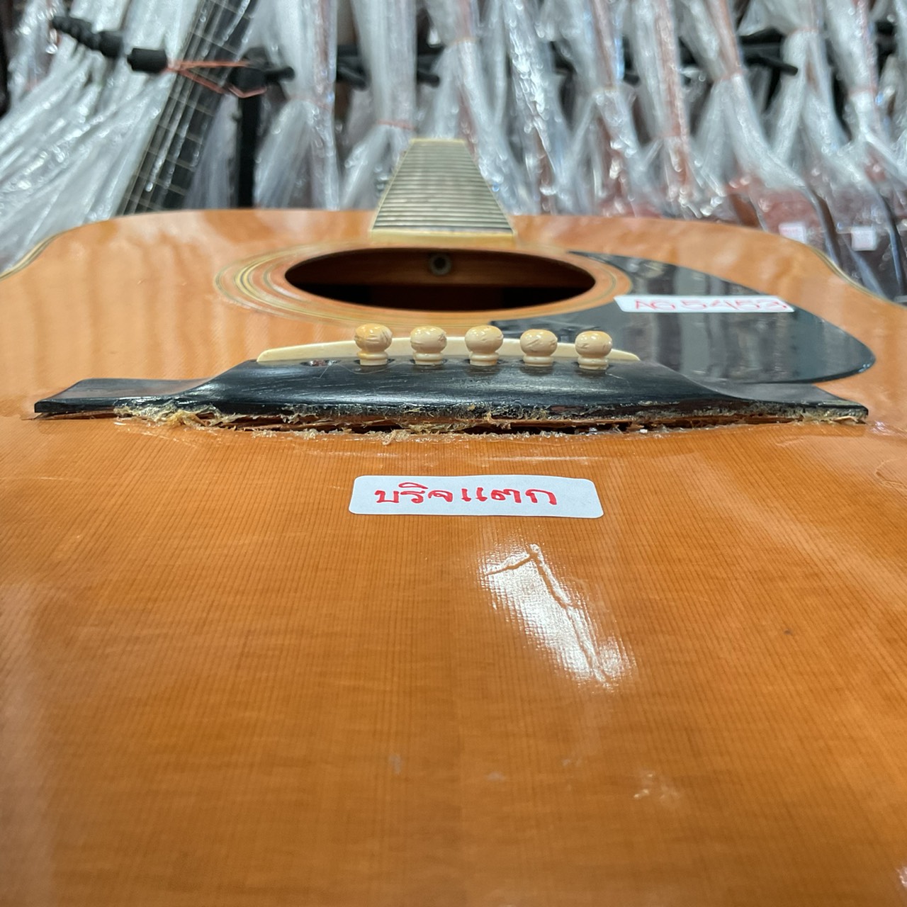 กีต้าร์โปร่ง Yamaki : No.120