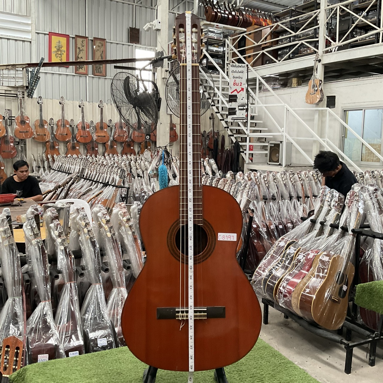 กีต้าร์คลาสสิค YAMAHA : G-70D