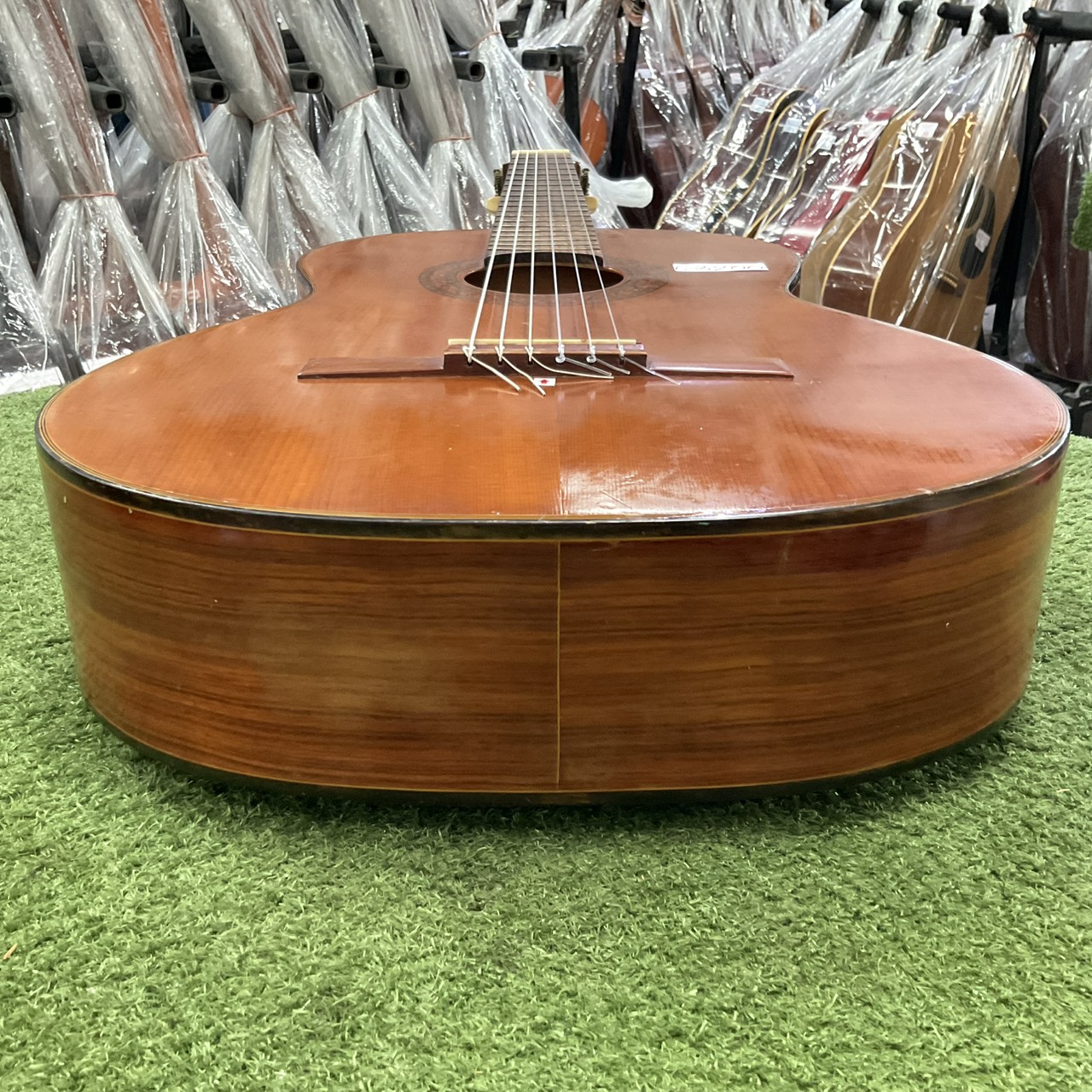 กีต้าร์คลาสสิค Abe Gut : 65A