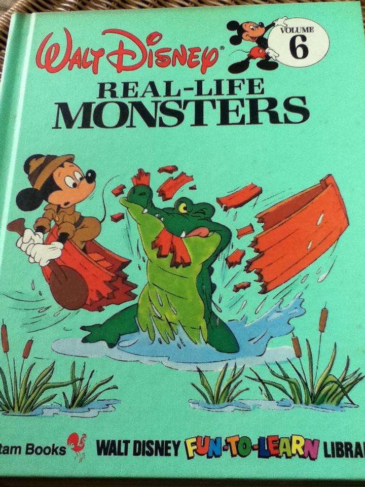 WALT DISNEY FUN-TO-LEARN LIBRARY Volume 3-19 (17 เล่ม)