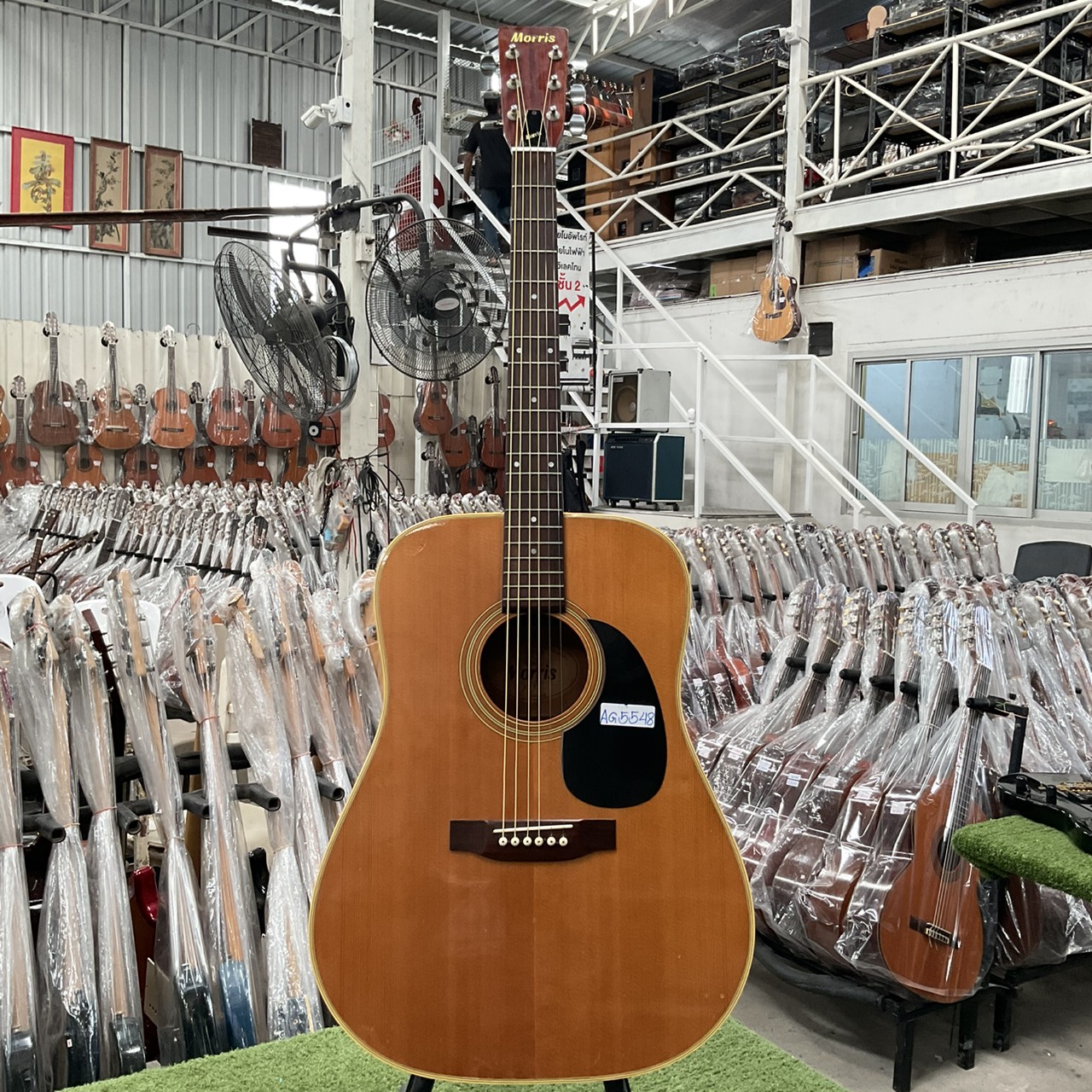 กีต้าร์โปร่ง Morris : W-18