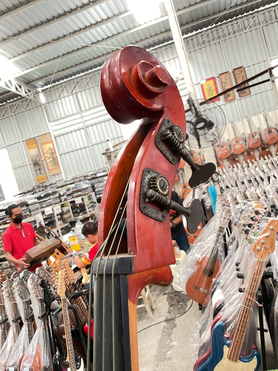 ไวโอลิน Double Bass