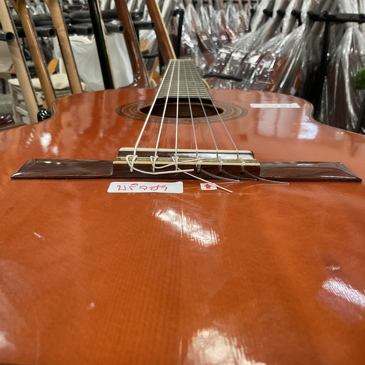 กีต้าร์คลาสสิค SUZUKI : No.36