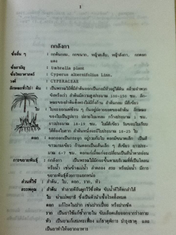 พจนานุกรมสมุนไพรไทย/ ดร.วิทย์ เที่ยงบูรณธรรม