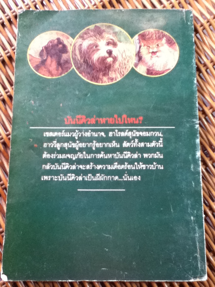 ตามหาผีผักกาด/ เจมส์ ฮาว์/ ต๊อกแต๊ก ผู้แปล