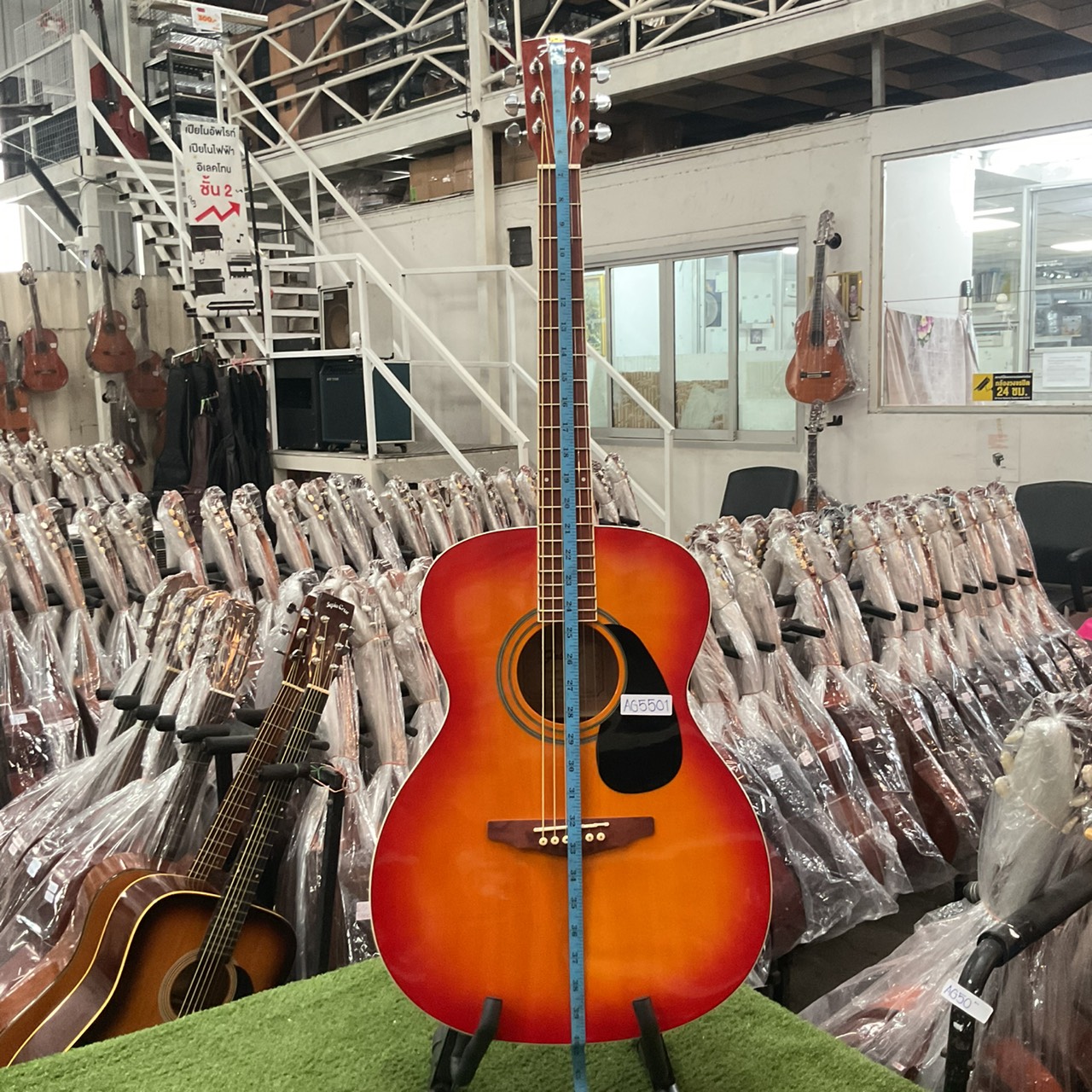 กีต้าร์โปร่ง Falcon : FSG-1F CAO