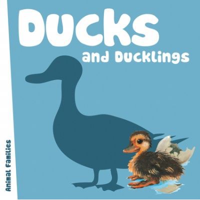ANIMAL FAMILIES: DUCKS & DUCKLINGS BY DKTODAY