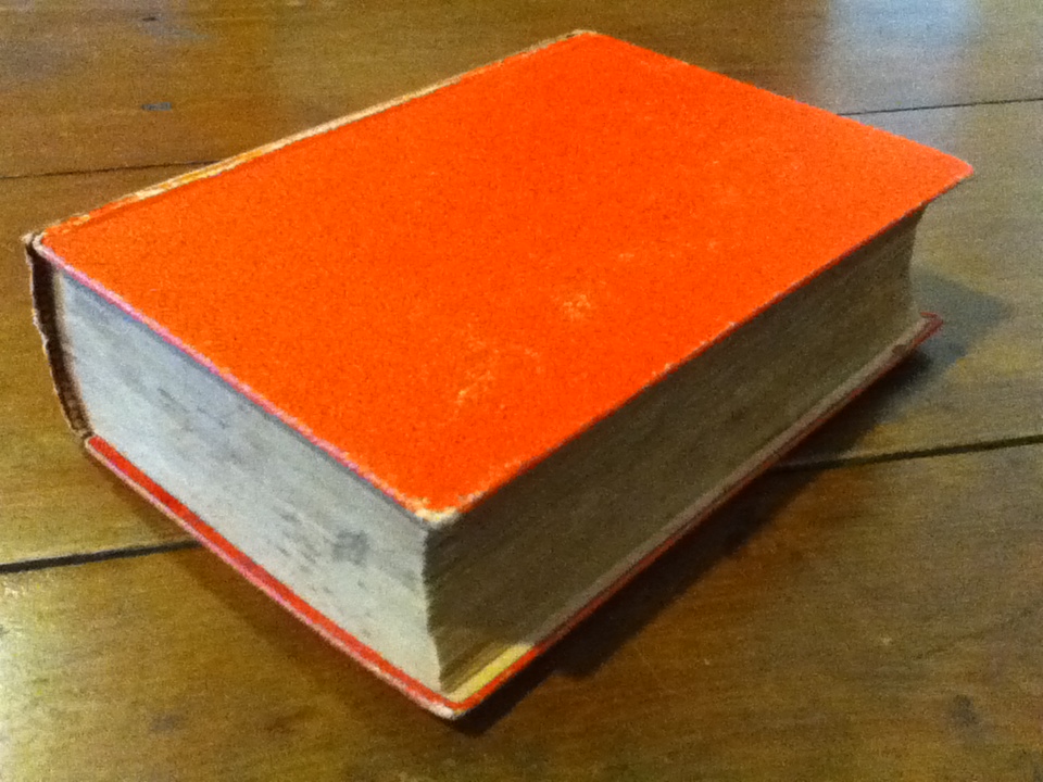 จ้อนกับแดง (ปกแข็ง เล่มเดียวจบ)