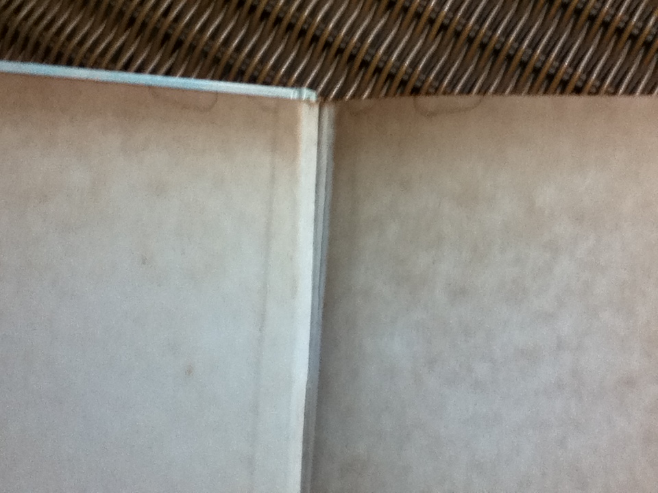 THE ADVENTURES OF TOM SAWYER/ Mark Twain