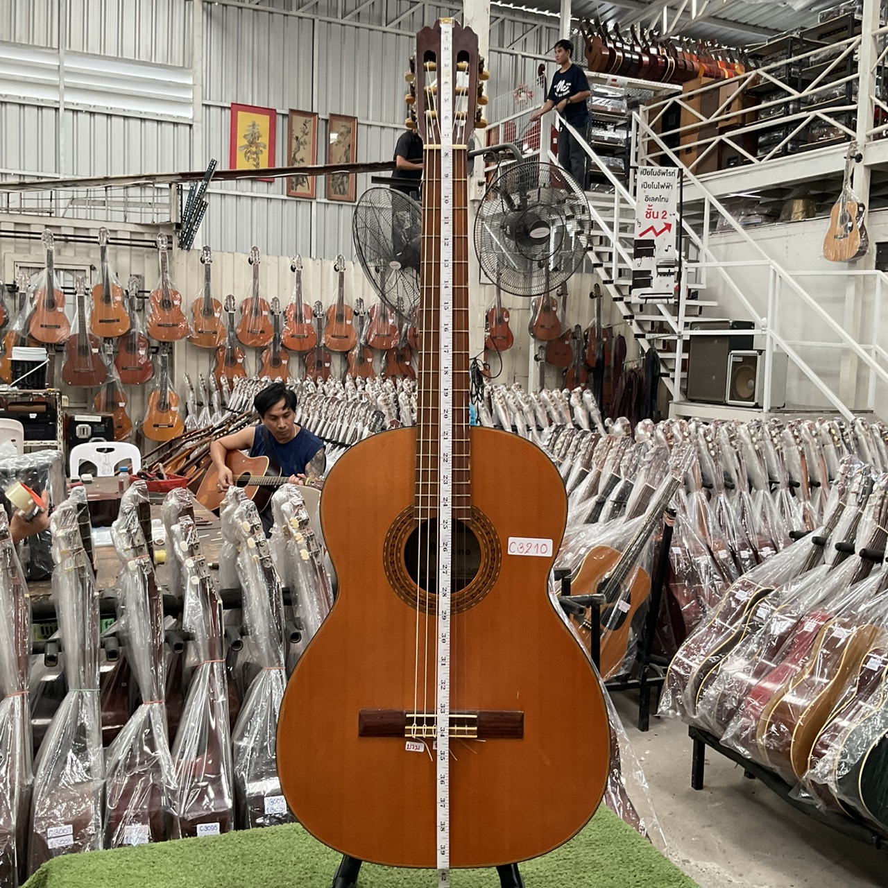 กีต้าร์คลาสสิค Mizuno