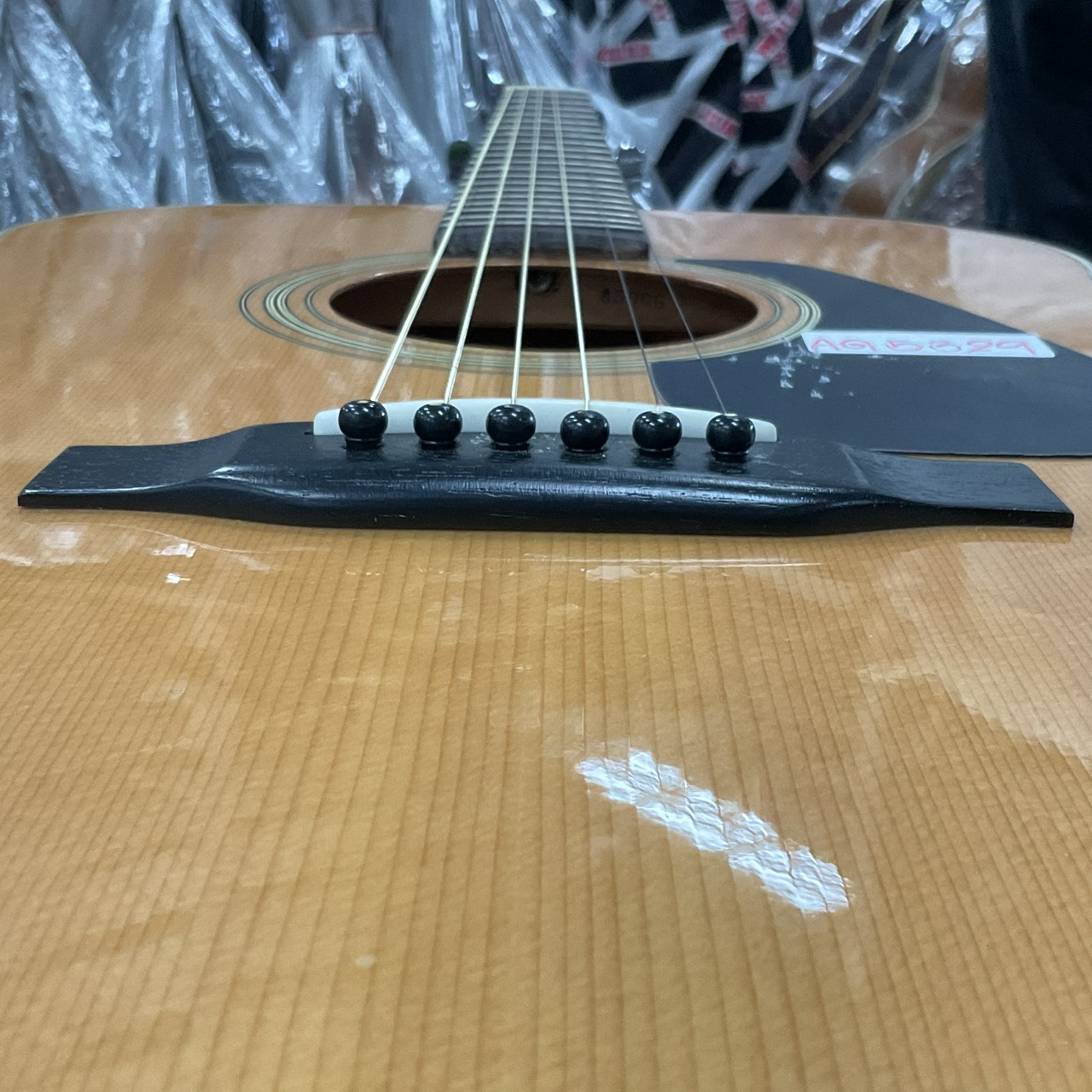 กีต้าร์โปร่ง Morris : MD-501