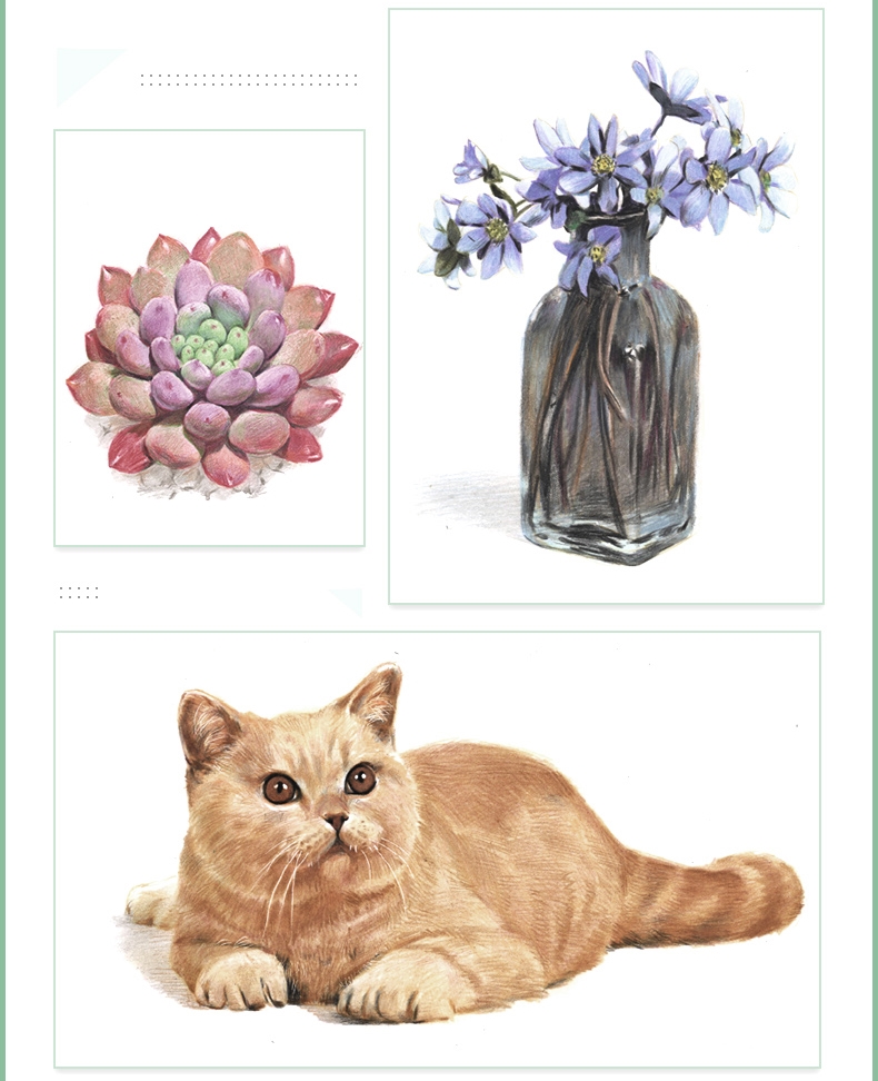 (Pre-order) หนังสือสอนระบายสีไม้ภาพทั่วไป "Fresh"