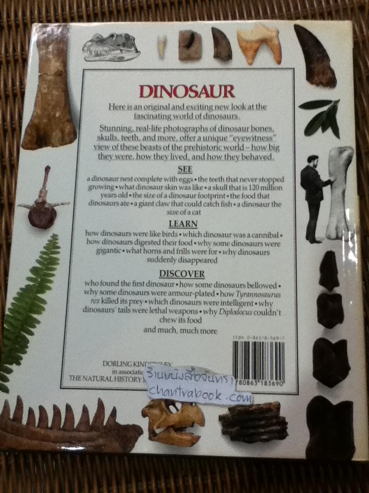 EYEWITNESS GUIDES 9 เล่ม