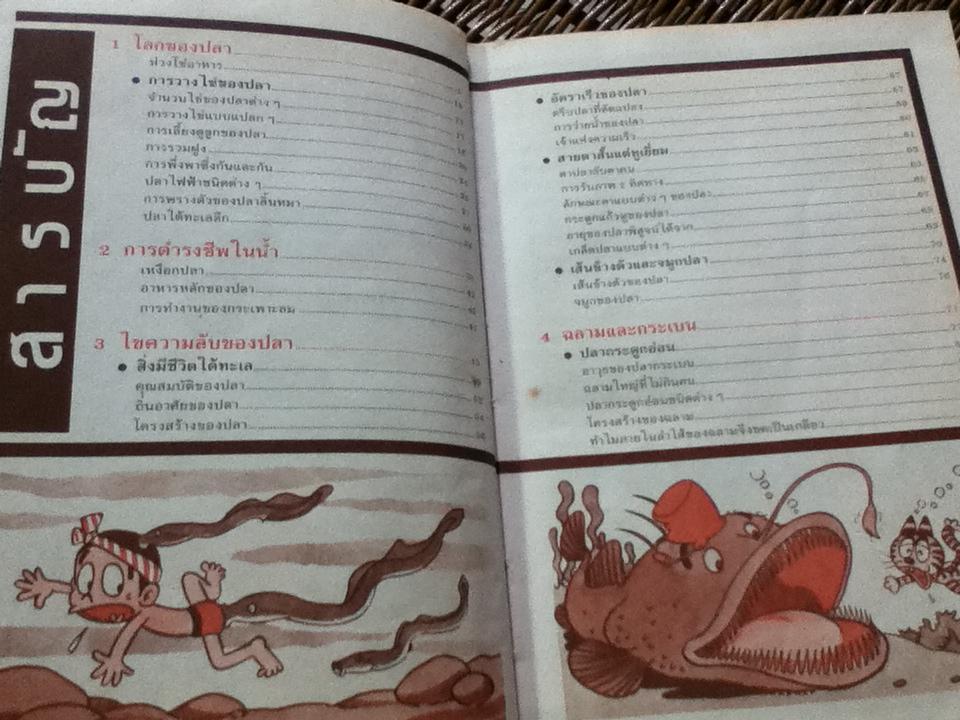 ธรรมชาติมหัศจรรย์ ลำดับที่ 3 โลกพิศวงของปลา