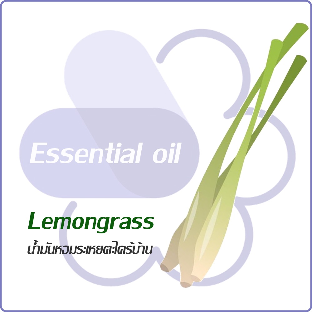 Lemongrass Essential Oil (Cymbopogon citratus) น้ำมันหอมระเหยตะไคร้บ้าน/ตะไคร้แกง sweet lemon grassy / Dissolved in oil /ละลายในน้ำมัน-ไม่เร่งเทรซ COA