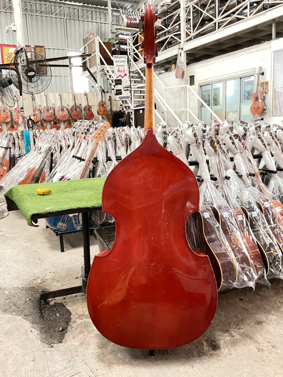 ไวโอลิน Double Bass