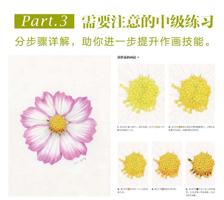 (Pre-order) หนังสือ FLOWER DRAWING