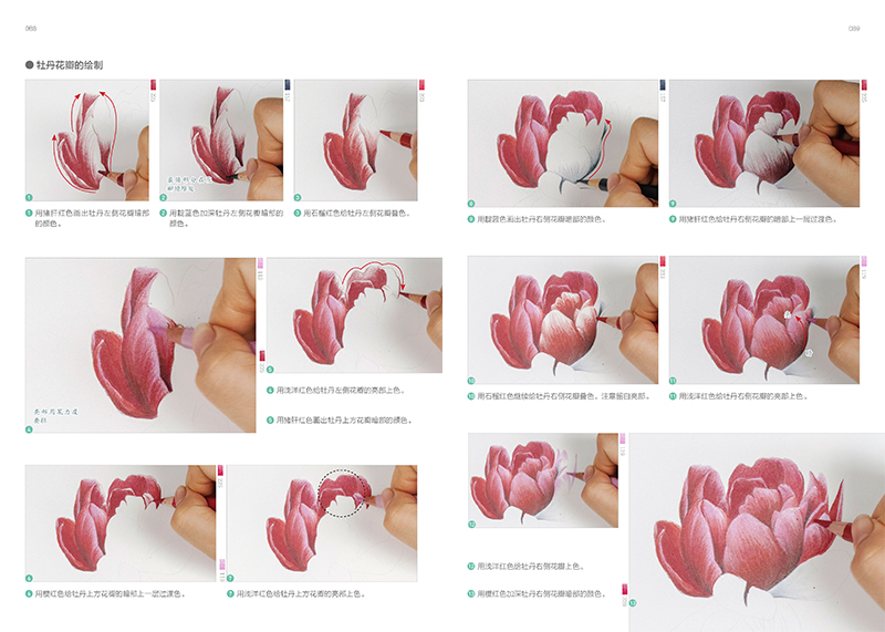 (Pre-order) หนังสือสอนระบายสีไม้ภาพดอกไม้ PAINTING WITH COLORED PENCIL