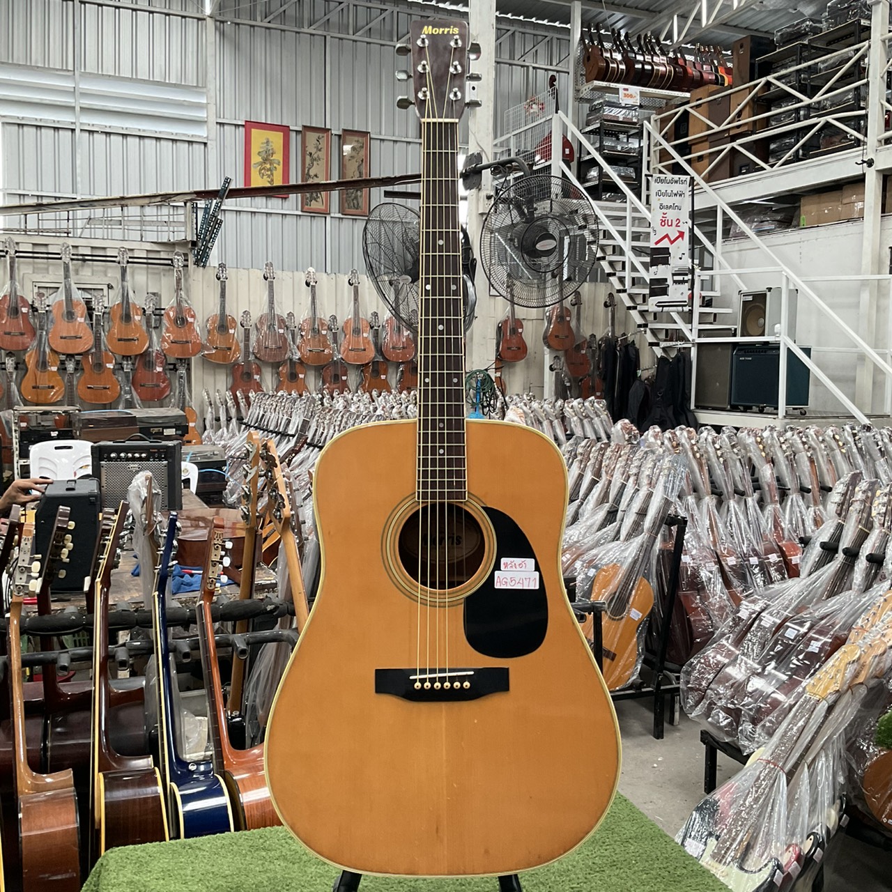 กีต้าร์โปร่ง Morris : W-20