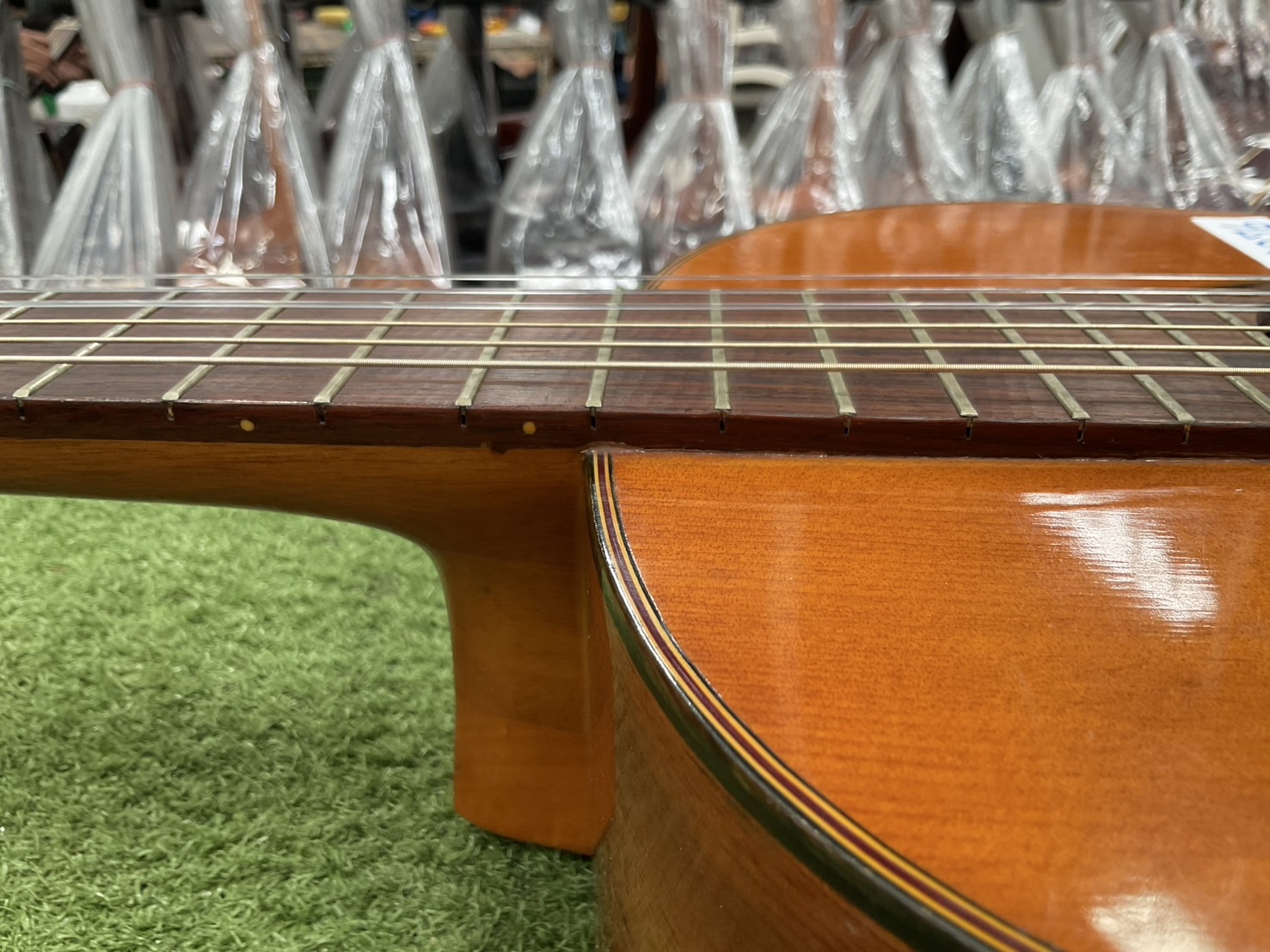 กีต้าร์คลาสสิค TOKAI : L-50