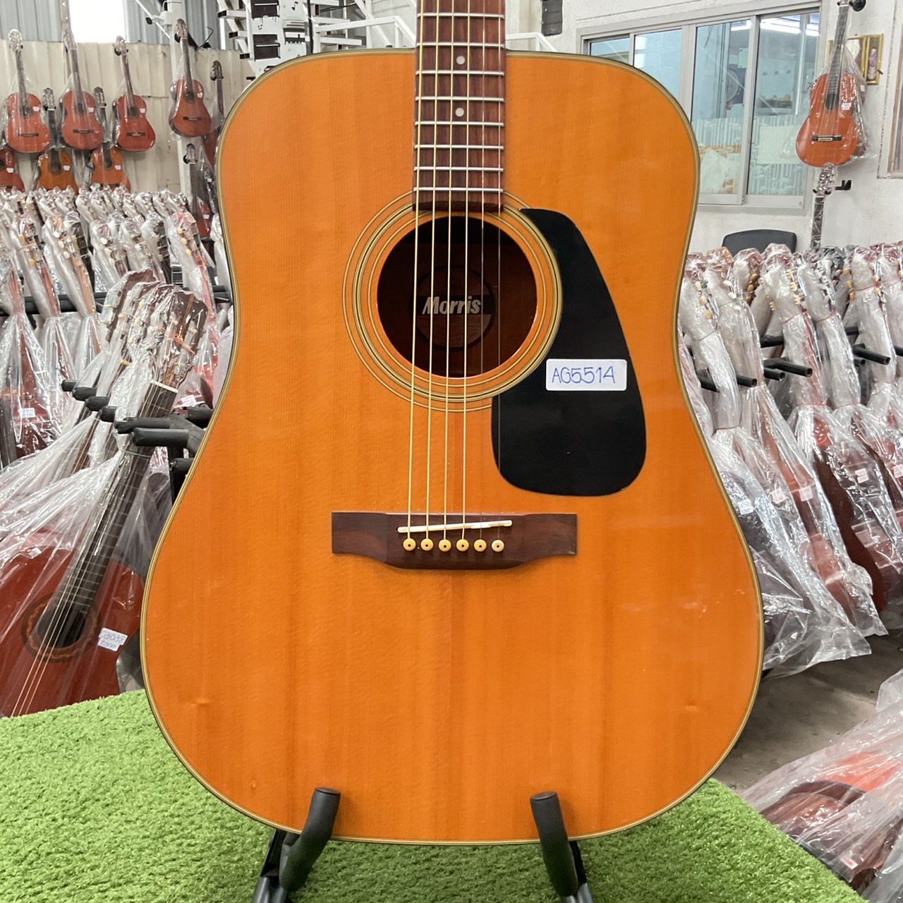 กีต้าร์โปร่ง Morris : MD-503