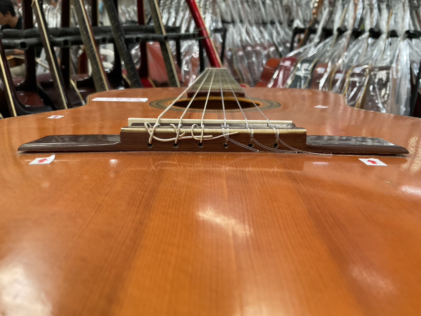 กีต้าร์คลาสสิค PALOMA