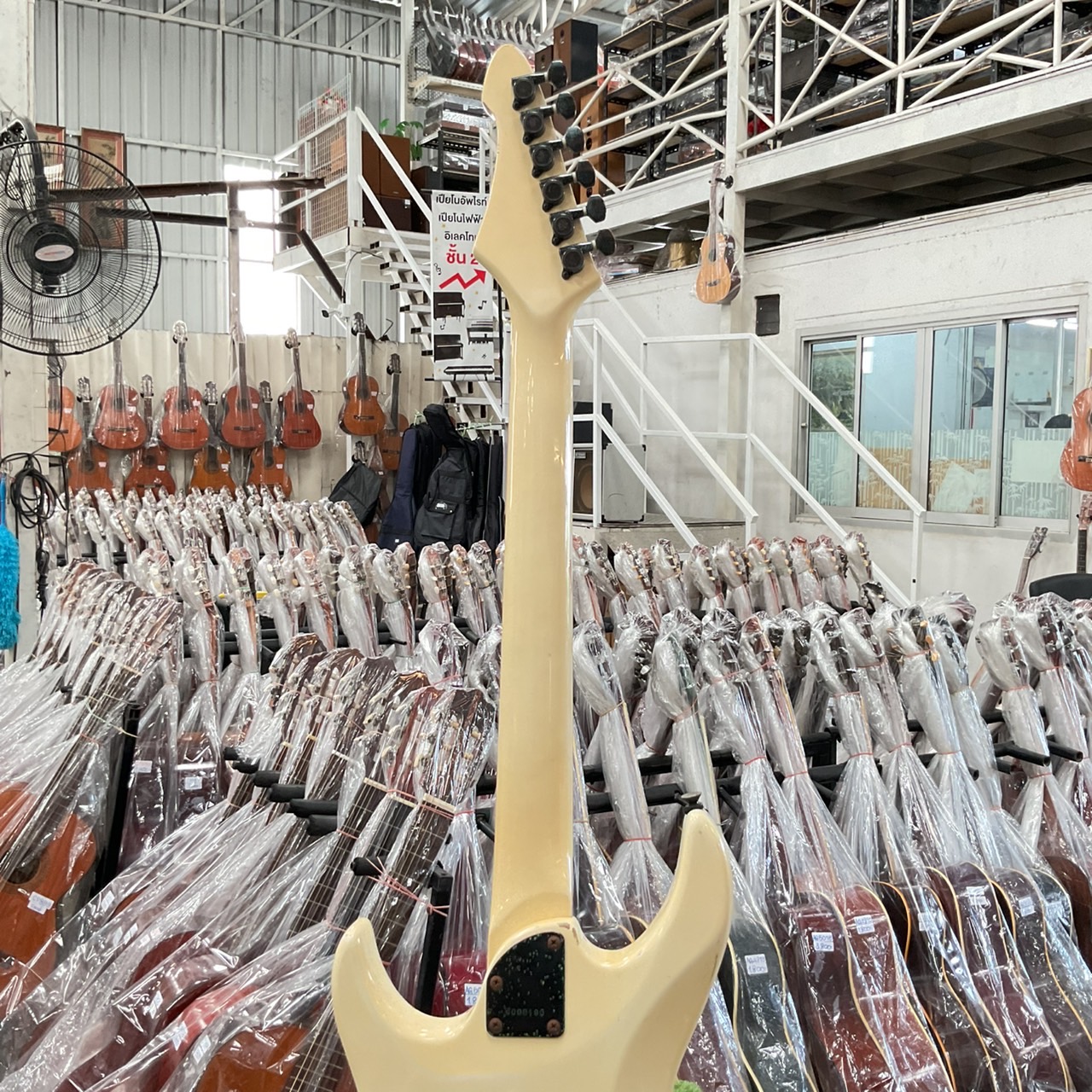 กีต้าร์ไฟฟ้า BLACK DOG : BY ARI PRO II