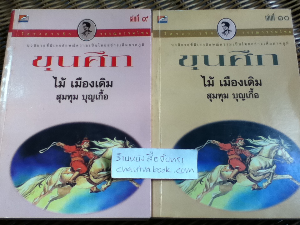 ขุนศึก 10เล่มจบ/ ไม้ เมืองเดิม