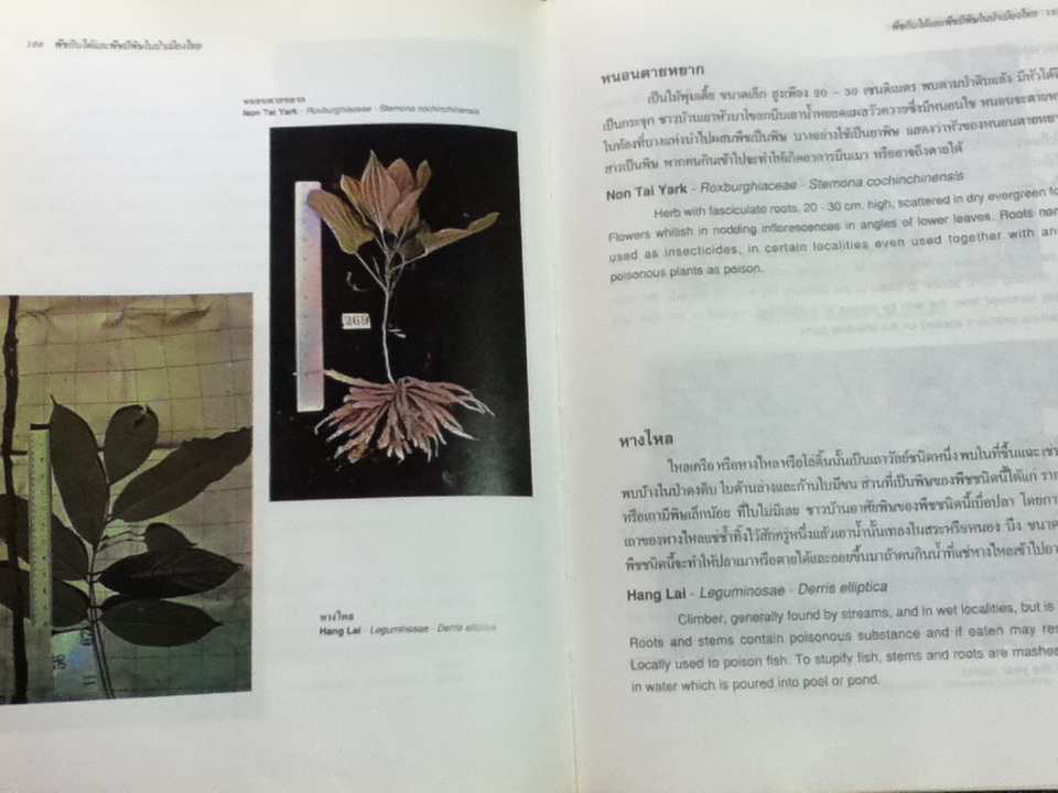 พืชกินได้และพืชมีพิในษป่าเมืองไทย (2 ภาษา ไทย-อังกฤษ)/ สมจิตร พงศ์พงัน, สุภาพ ภู่ประเสริฐ