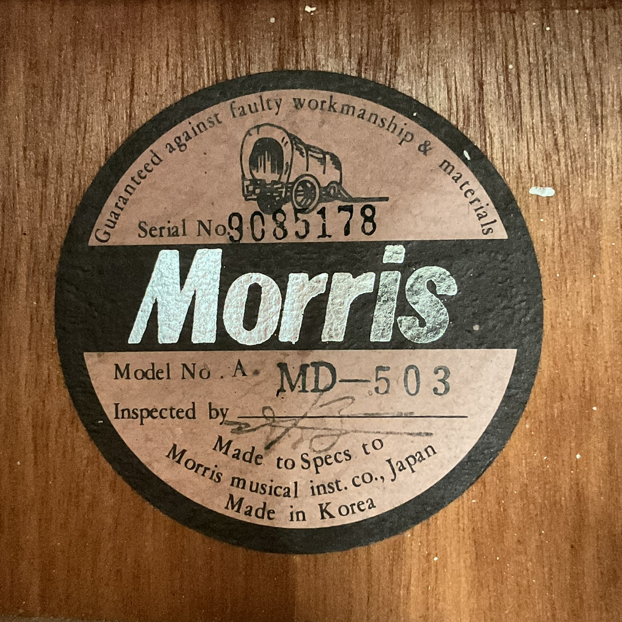 กีต้าร์โปร่ง Morris : MD-503