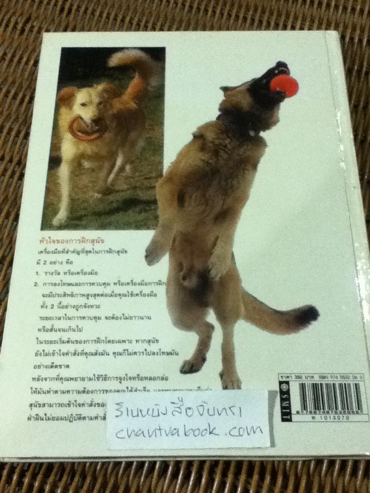 Training dog ข้อมูลของสุนัขพันธุ์ต่าง ๆ และวิธีการฝึก