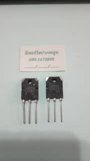 C5198