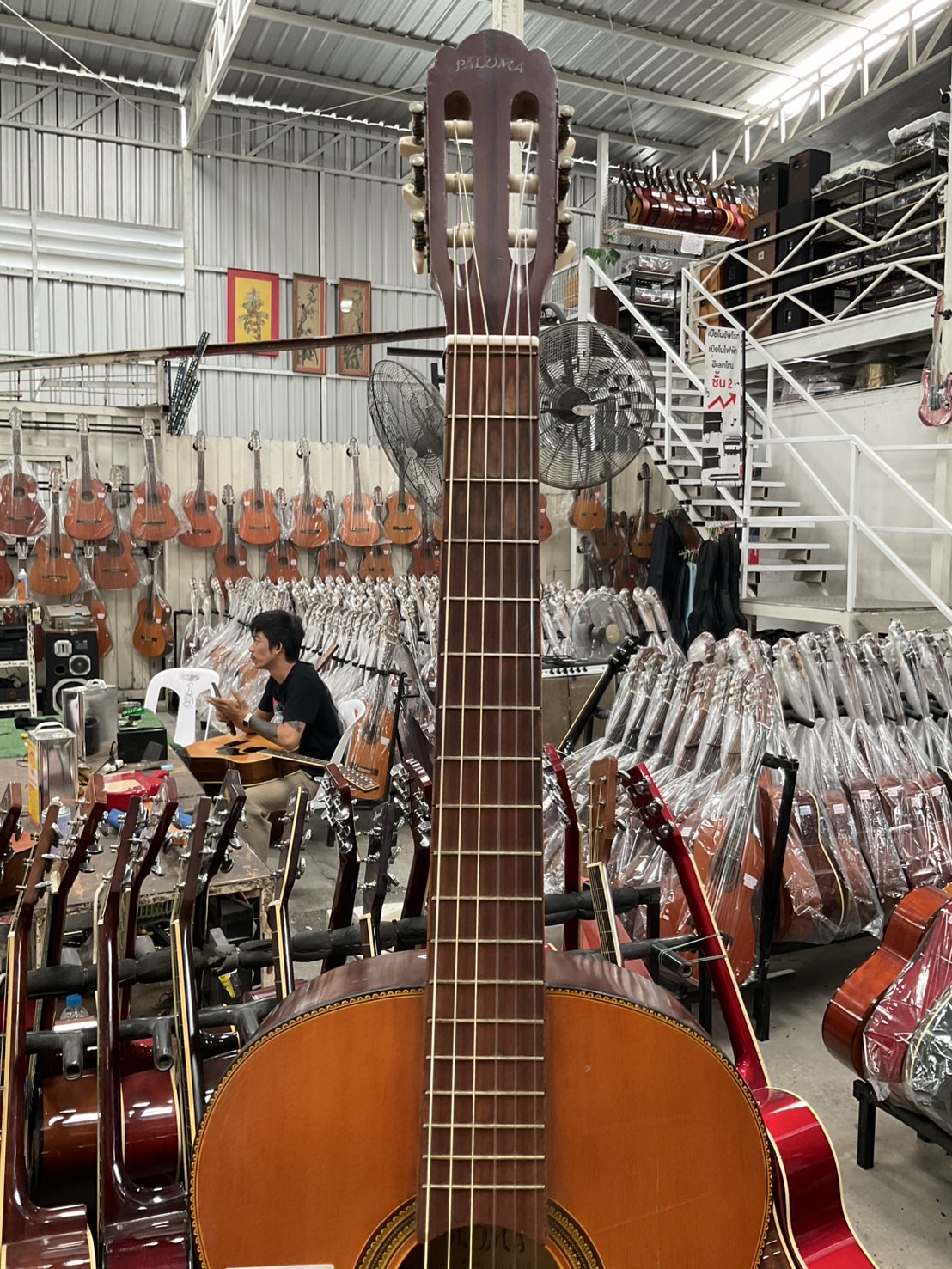 กีต้าร์คลาสสิค PALOMA