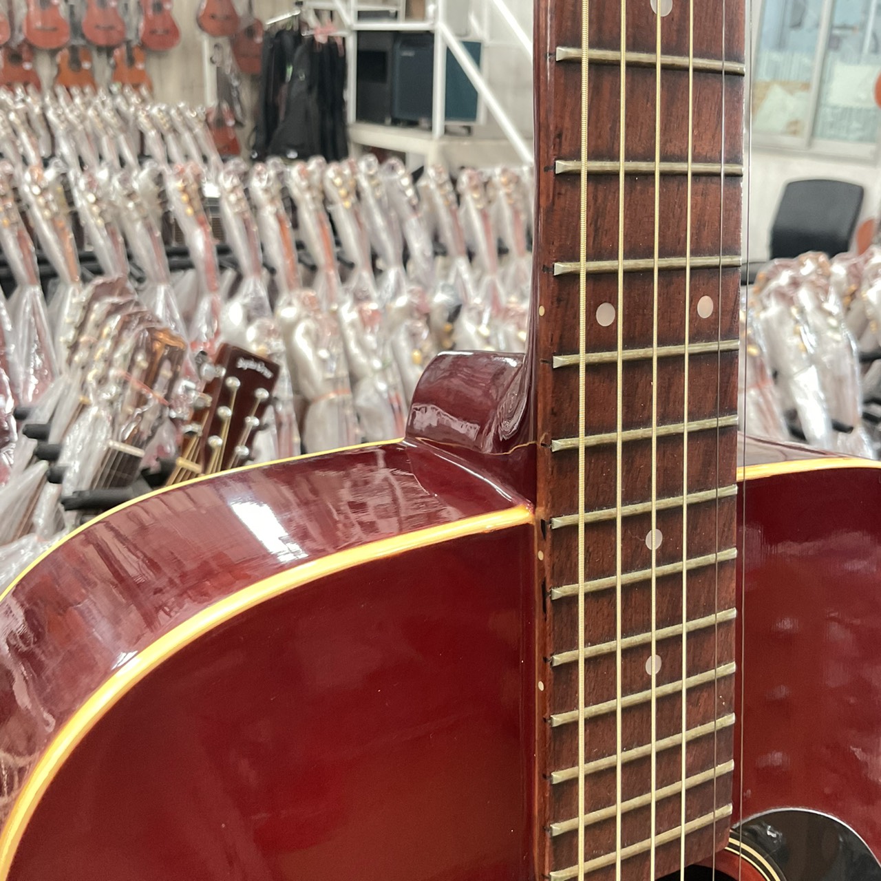 กีต้าร์โปร่ง Aria : ADW-80 VS