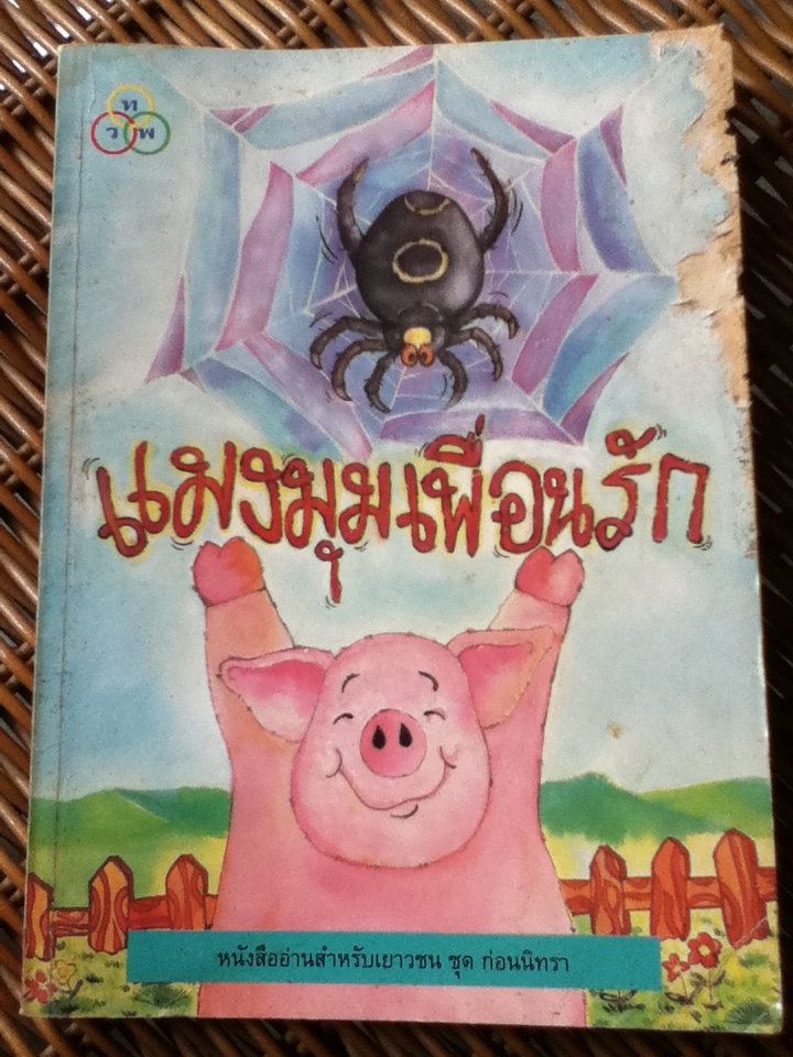 แมงมุมเพื่อนรัก