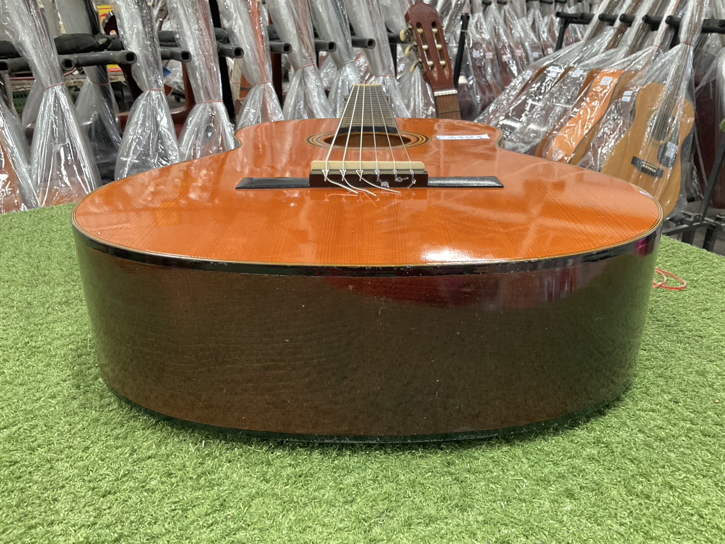 กีต้าร์คลาสสิค YAMAHA : G-50