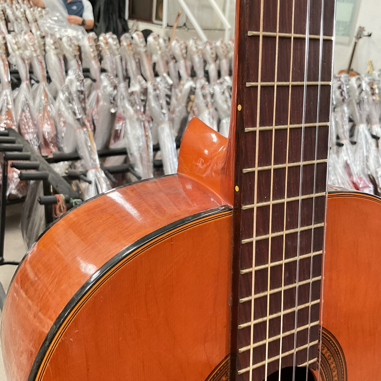 กีต้าร์คลาสสิค 鈴木 (Suzuki) : 34R