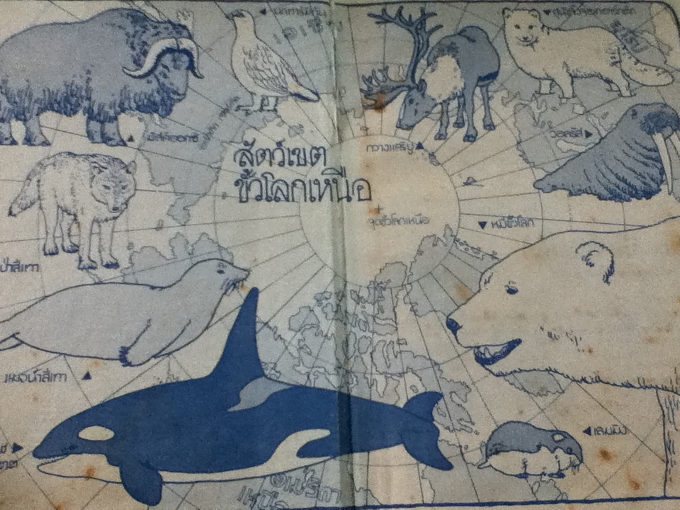 รู้รอบตัวแสนสนุก เล่ม 8 ขั้วโลกเหนือ-ขั้วโลกใต้