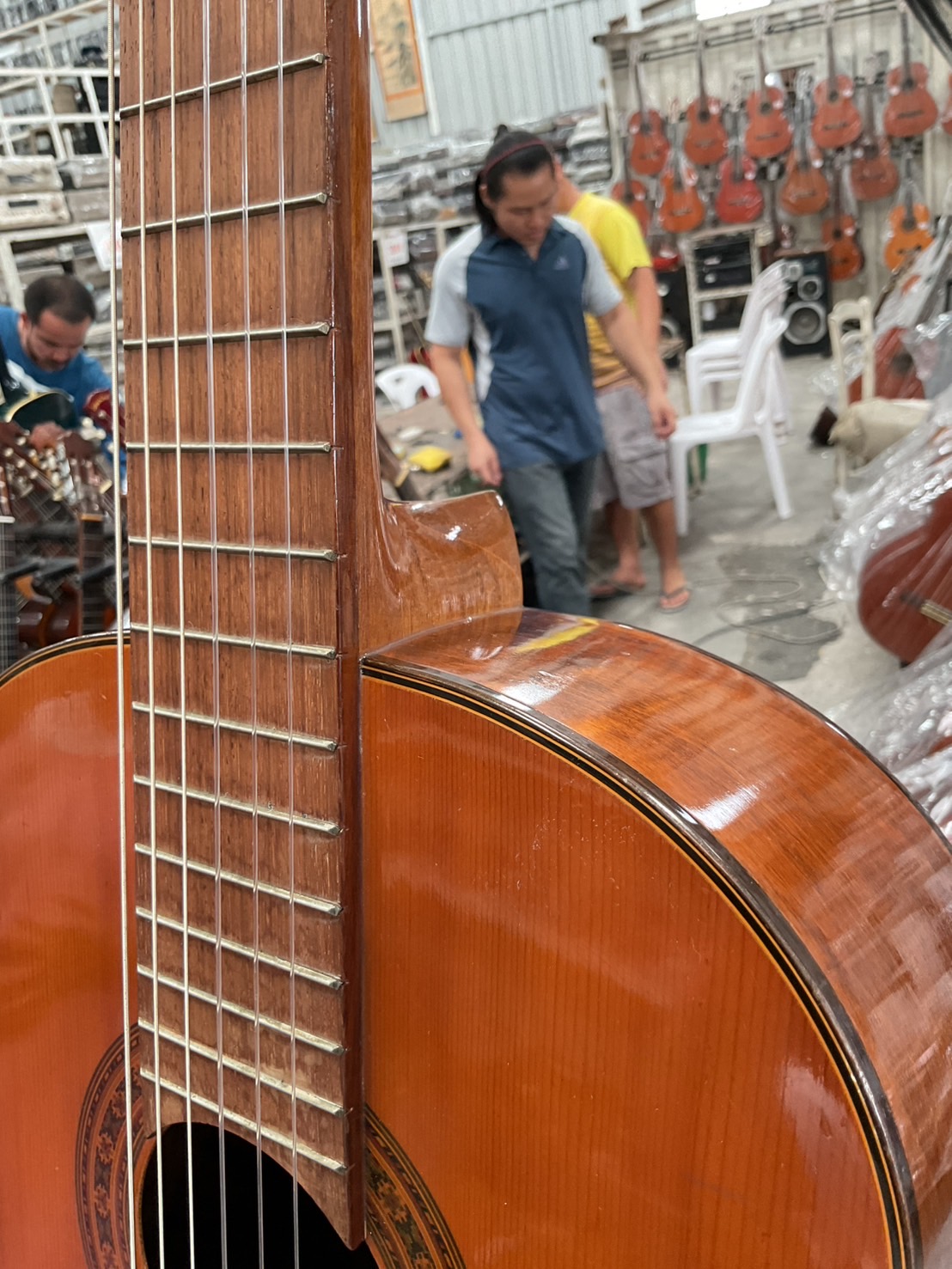 กีต้าร์คลาสสิค Zen-on Gut : No.50