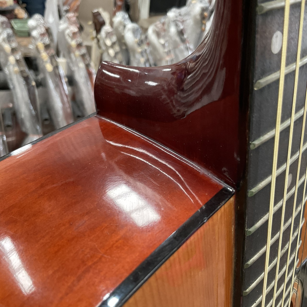 กีต้าร์โปร่ง Serena