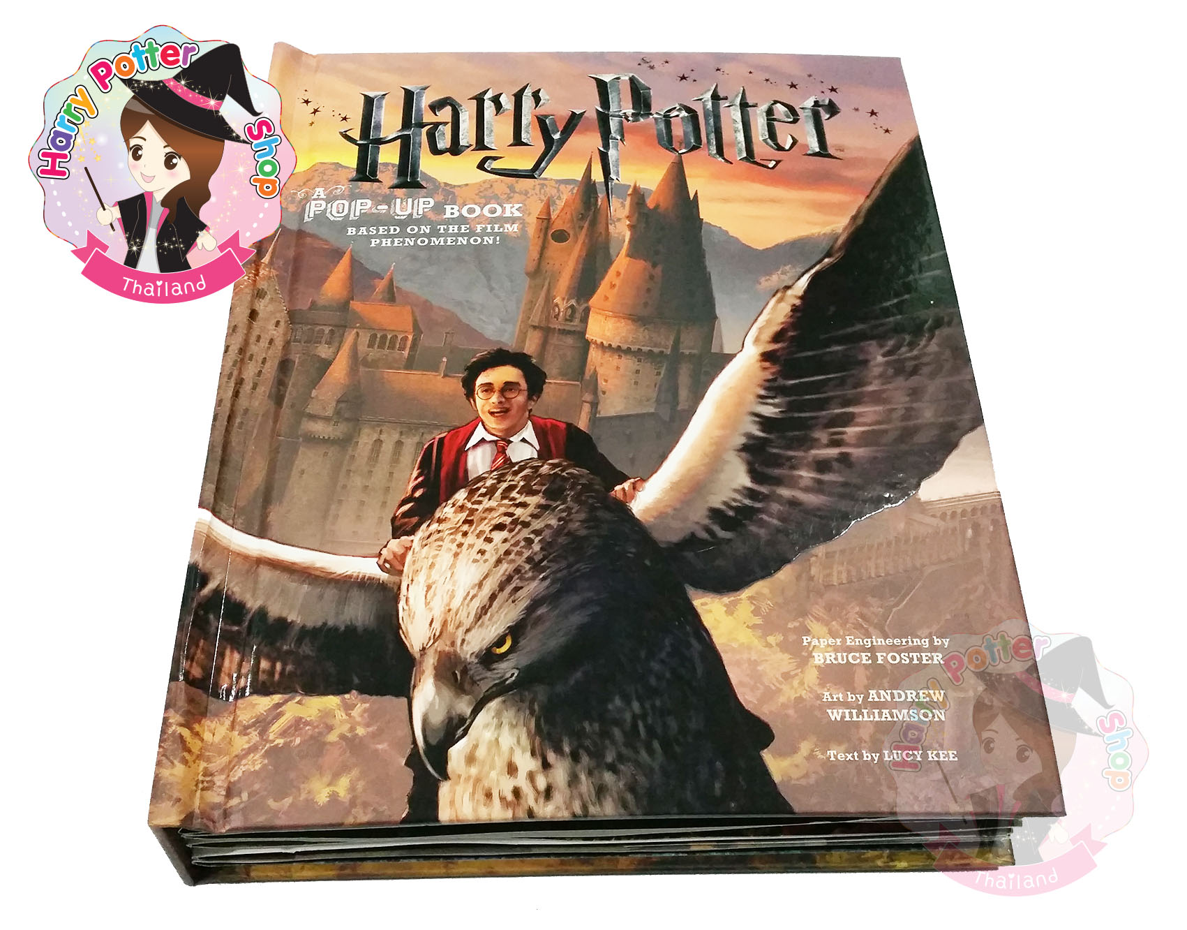Harry Potter Pop Up Book