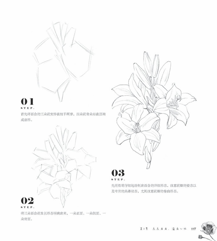 (Pre-order) หนังสือสอนวาดภาพขาว-ดำ รูปดอกไม้ Black and White Flowers เล่ม 4