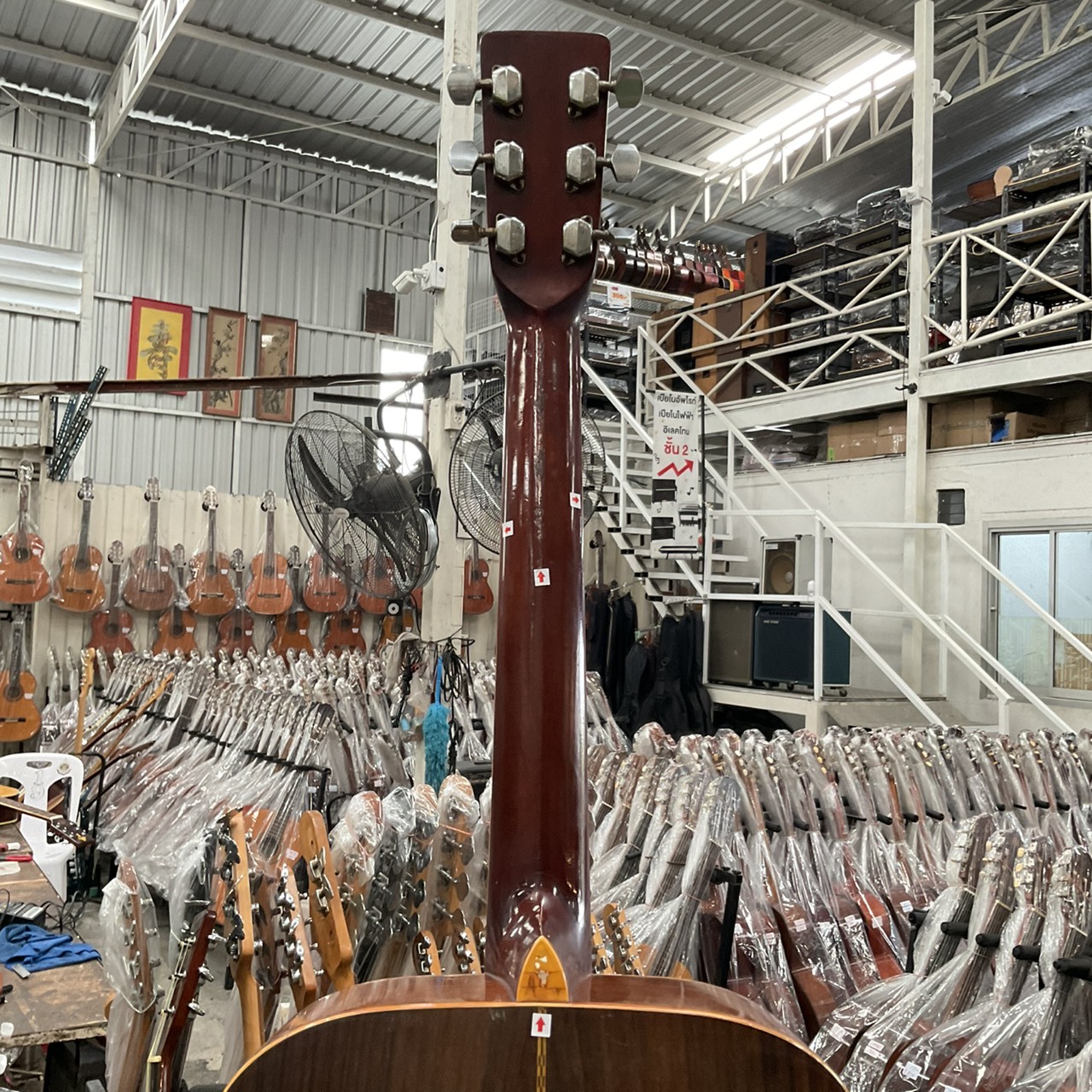 กีต้าร์โปร่ง Morris : W-25