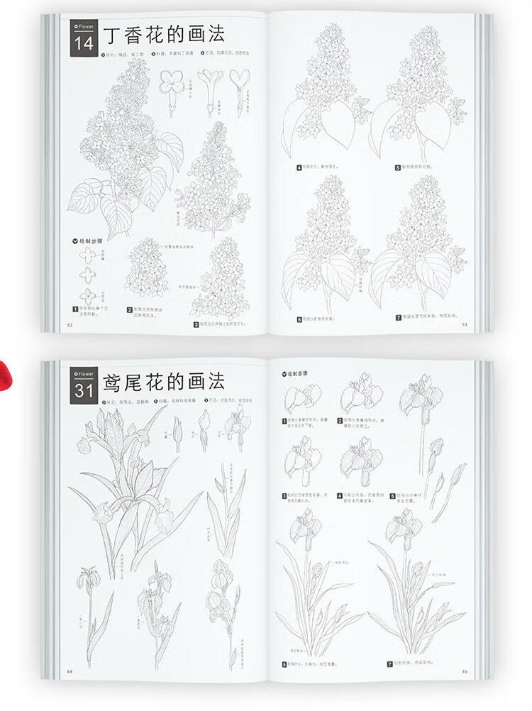 (Pre-order) หนังสือสเก็ตช์ดินสอภาพพืช